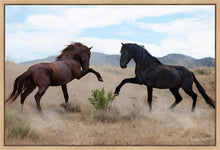 Load image into Gallery viewer, War Dance
