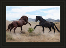 Load image into Gallery viewer, War Dance
