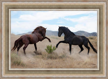 Load image into Gallery viewer, War Dance
