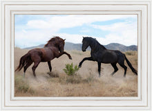 Load image into Gallery viewer, War Dance
