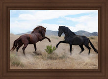 Load image into Gallery viewer, War Dance

