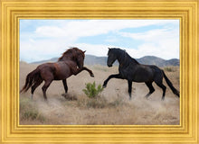 Load image into Gallery viewer, War Dance
