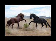 Load image into Gallery viewer, War Dance
