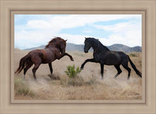 Load image into Gallery viewer, War Dance
