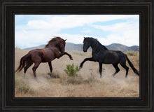 Load image into Gallery viewer, War Dance
