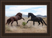 Load image into Gallery viewer, War Dance
