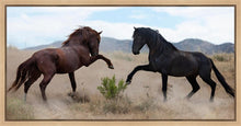 Load image into Gallery viewer, War Dance
