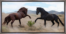 Load image into Gallery viewer, War Dance
