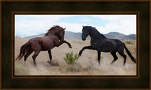 Load image into Gallery viewer, War Dance

