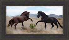 Load image into Gallery viewer, War Dance
