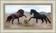 Load image into Gallery viewer, War Dance

