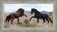 Load image into Gallery viewer, War Dance
