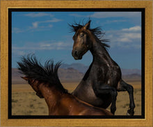 Load image into Gallery viewer, Winner Takes All
