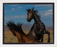 Load image into Gallery viewer, Winner Takes All
