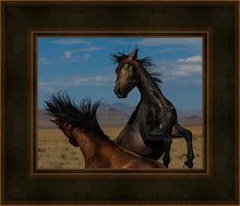 Load image into Gallery viewer, Winner Takes All
