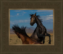 Load image into Gallery viewer, Winner Takes All
