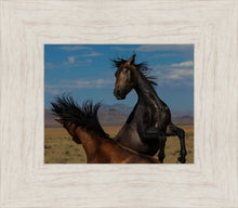 Load image into Gallery viewer, Winner Takes All
