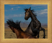 Load image into Gallery viewer, Winner Takes All
