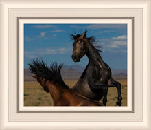 Load image into Gallery viewer, Winner Takes All
