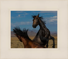 Load image into Gallery viewer, Winner Takes All

