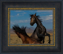 Load image into Gallery viewer, Winner Takes All
