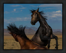Load image into Gallery viewer, Winner Takes All
