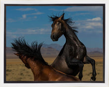 Load image into Gallery viewer, Winner Takes All
