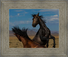 Load image into Gallery viewer, Winner Takes All
