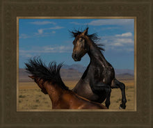 Load image into Gallery viewer, Winner Takes All
