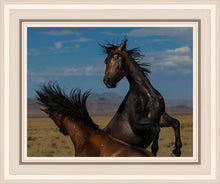 Load image into Gallery viewer, Winner Takes All
