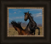 Load image into Gallery viewer, Winner Takes All
