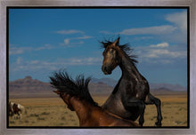 Load image into Gallery viewer, Winner Takes All
