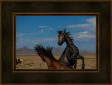 Load image into Gallery viewer, Winner Takes All
