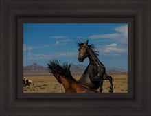 Load image into Gallery viewer, Winner Takes All
