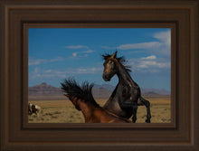 Load image into Gallery viewer, Winner Takes All
