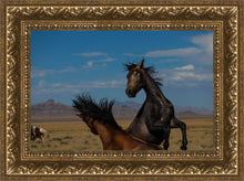 Load image into Gallery viewer, Winner Takes All
