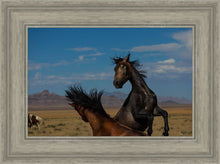 Load image into Gallery viewer, Winner Takes All
