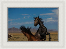 Load image into Gallery viewer, Winner Takes All
