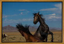 Load image into Gallery viewer, Winner Takes All
