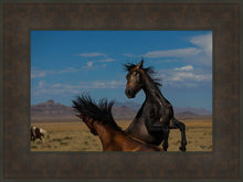 Load image into Gallery viewer, Winner Takes All
