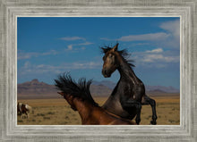 Load image into Gallery viewer, Winner Takes All
