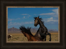 Load image into Gallery viewer, Winner Takes All
