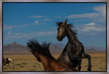 Load image into Gallery viewer, Winner Takes All
