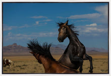 Load image into Gallery viewer, Winner Takes All
