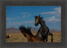 Load image into Gallery viewer, Winner Takes All
