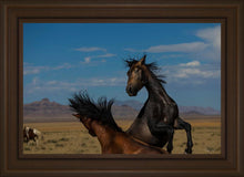Load image into Gallery viewer, Winner Takes All
