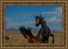 Load image into Gallery viewer, Winner Takes All
