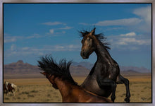 Load image into Gallery viewer, Winner Takes All
