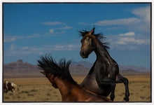 Load image into Gallery viewer, Winner Takes All

