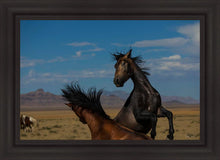 Load image into Gallery viewer, Winner Takes All

